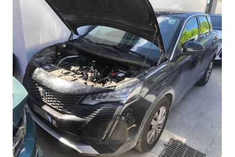 2021 Peugeot 3008, Dyzelinas